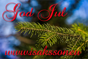 godjul-2013