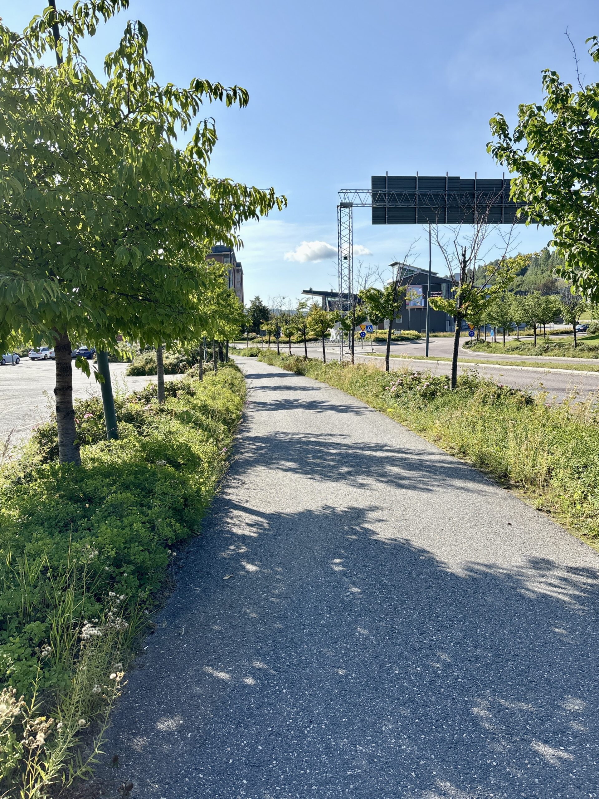 Morgonpromenad i Örnsköldsvik